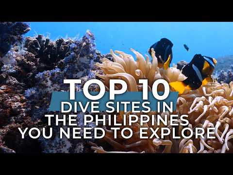 Top 10 Dive Sites in the Philippines You NEED to Explore!