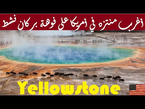 أشهر حديقة وطنية في أمريكا Yellowstone National Park 