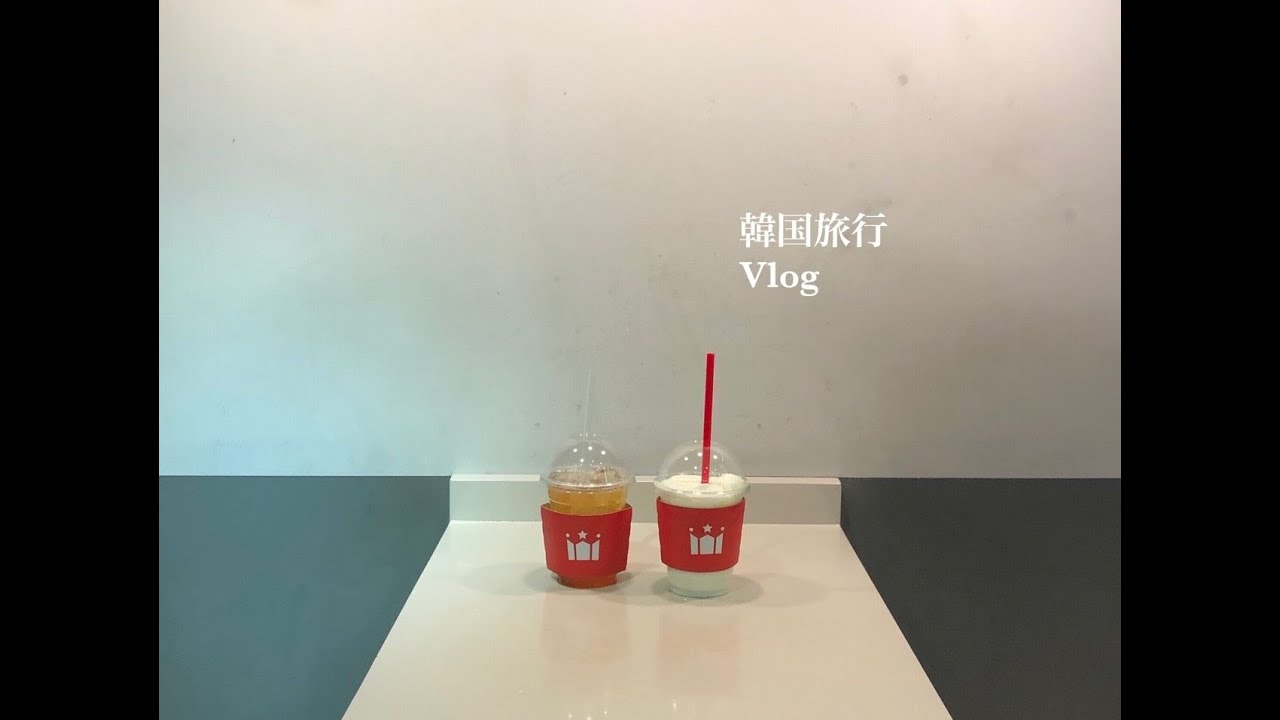 【Vlog】韓国旅行 parrt2【ソウル】한국여행 （서울）