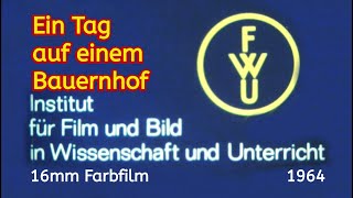 A Day On A Farm  Documentary Film 1964