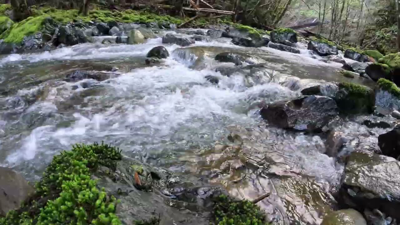 Rest To Peaceful Flowing River Water / Blue River Oregon