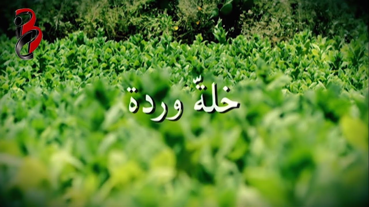 سعد  حمدان - فيلم  خلّة وردة