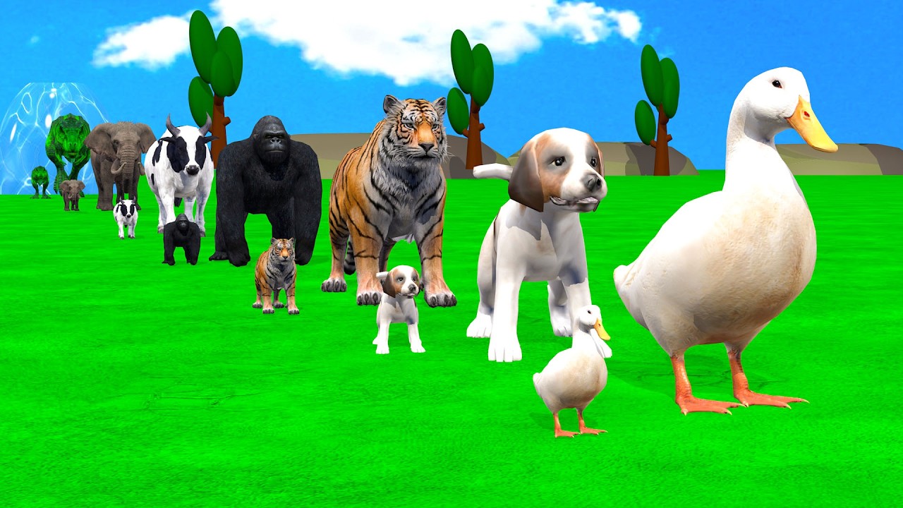 Long Slide Game With Cow Elephant Gorilla Hippopotamus Tiger - 3d Animal Game - Funny 3d Animals