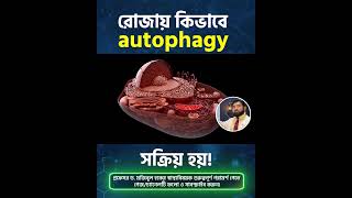 রোজায় কিভাবে autophagy সক্রিয় হয় #রোজা #Autophagy