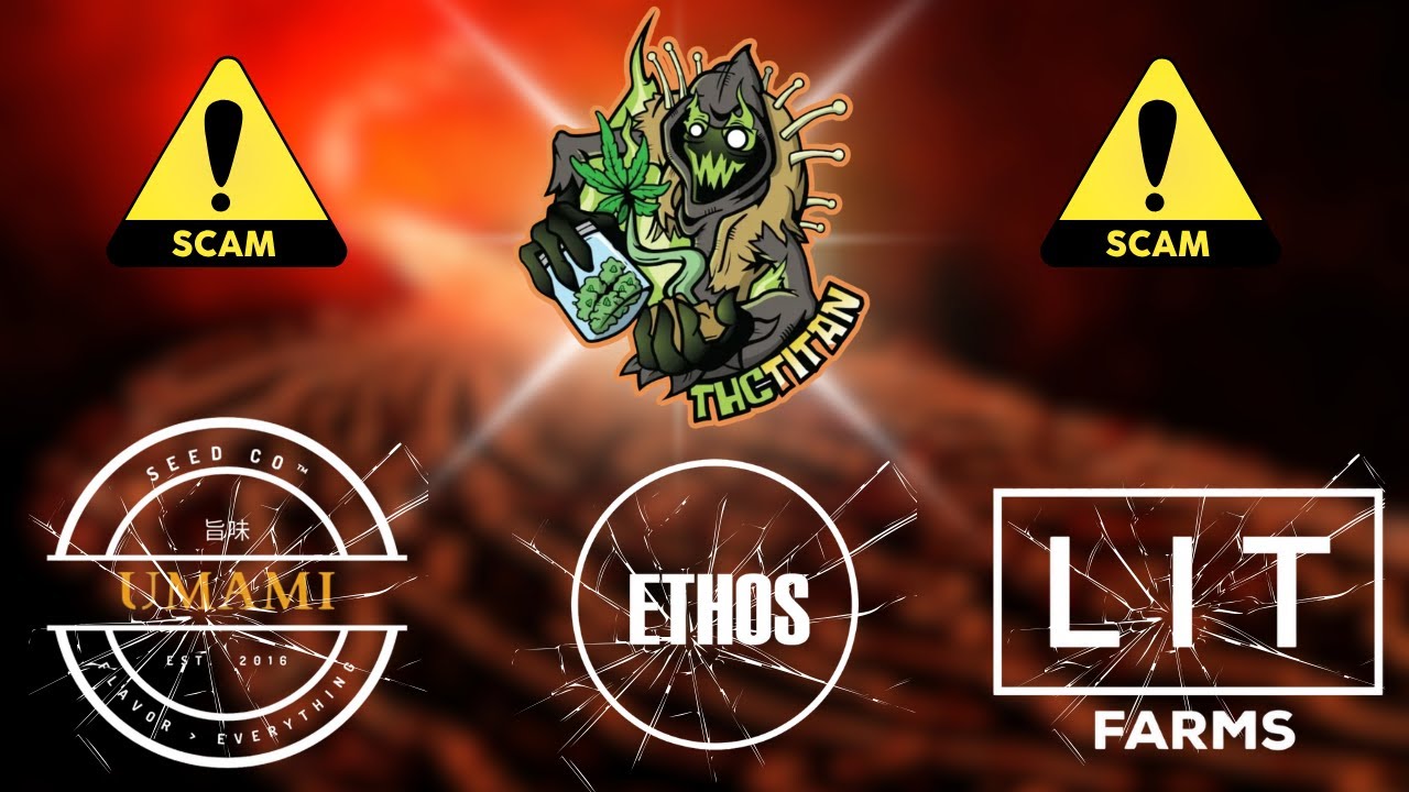 Are Breeders Scamming You?