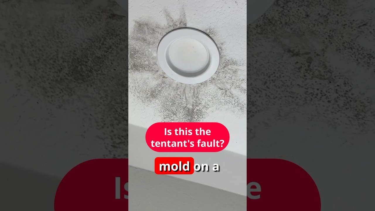 Is this the tenant’s fault? Landlords often blame tenants for mold on bathroom ceilings in Houston.