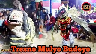 jaranan macan vs elang garuda‼️Tresno Mulyo Budoyo Indonesia #tresnomulyobudoyo