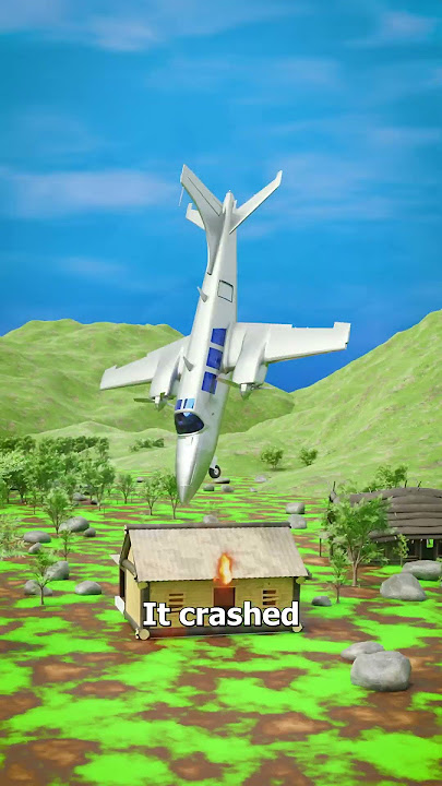 Crocodile Caused A Plane Crash 😨