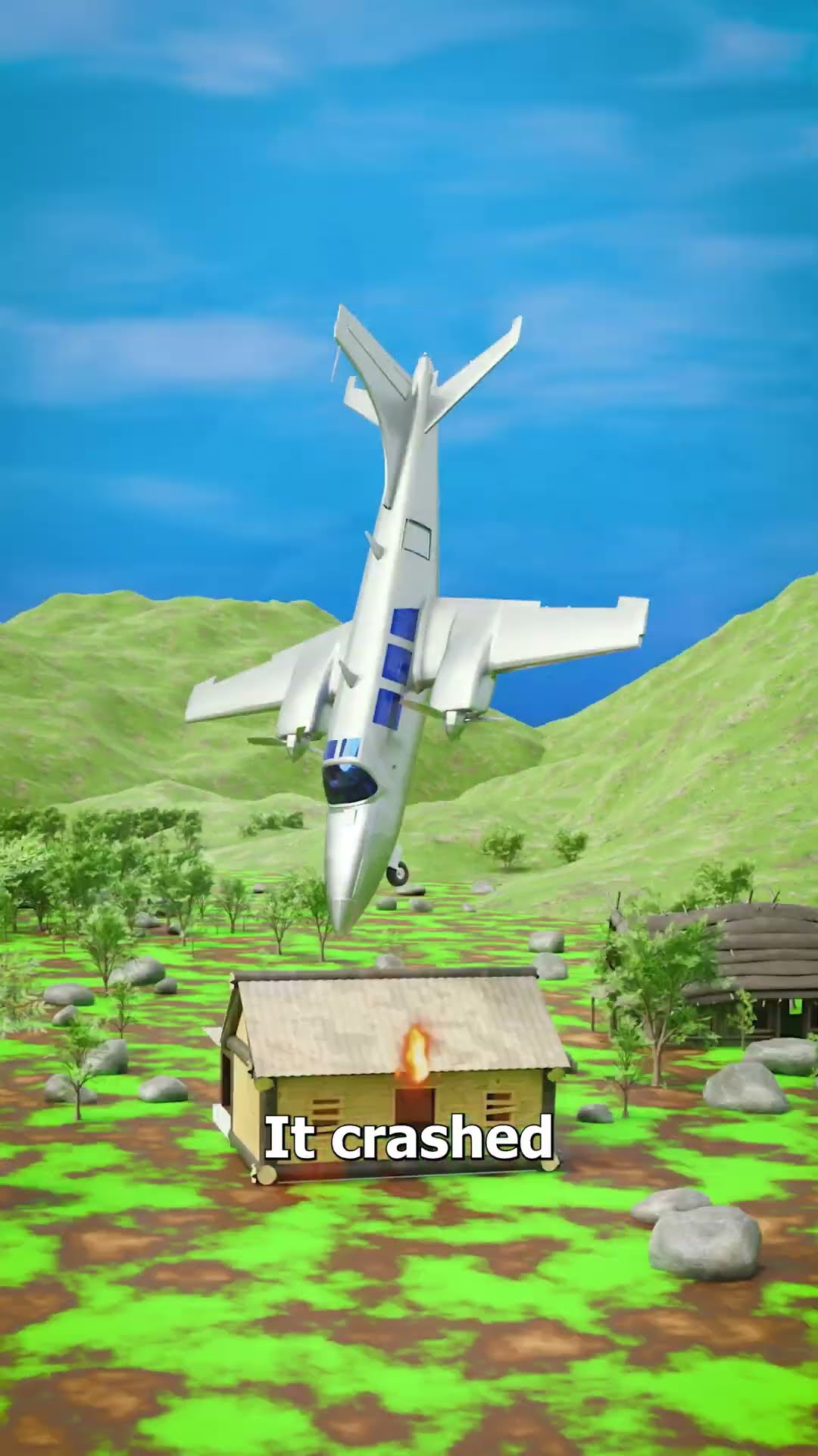 Crocodile Caused A Plane Crash ?