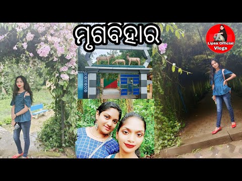 ଚାଲ ଯିବା ନବରଙ୍ଗପୁର ଜିଲ୍ଲାର ପାପଡ଼ାହାଣ୍ଡି ସ୍ଥିତ ମୃଗବିହାର । @JBRProduction