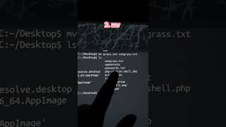🐧 Learn Linux in 30 Days. Day 3!#Linux #LearnLinux #CyberSecurity #EthicalHacking #HackTools