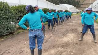Be Kind Kitchen. Floranation Farm, Ecuador