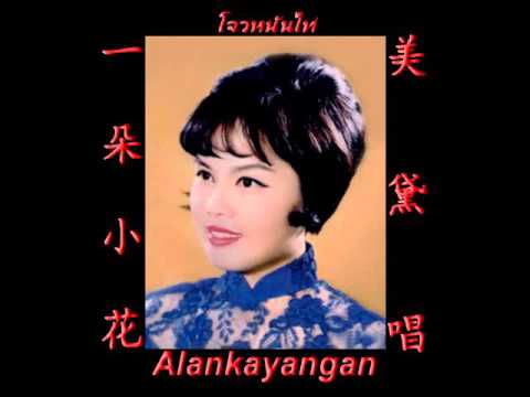 美黛- YouTube