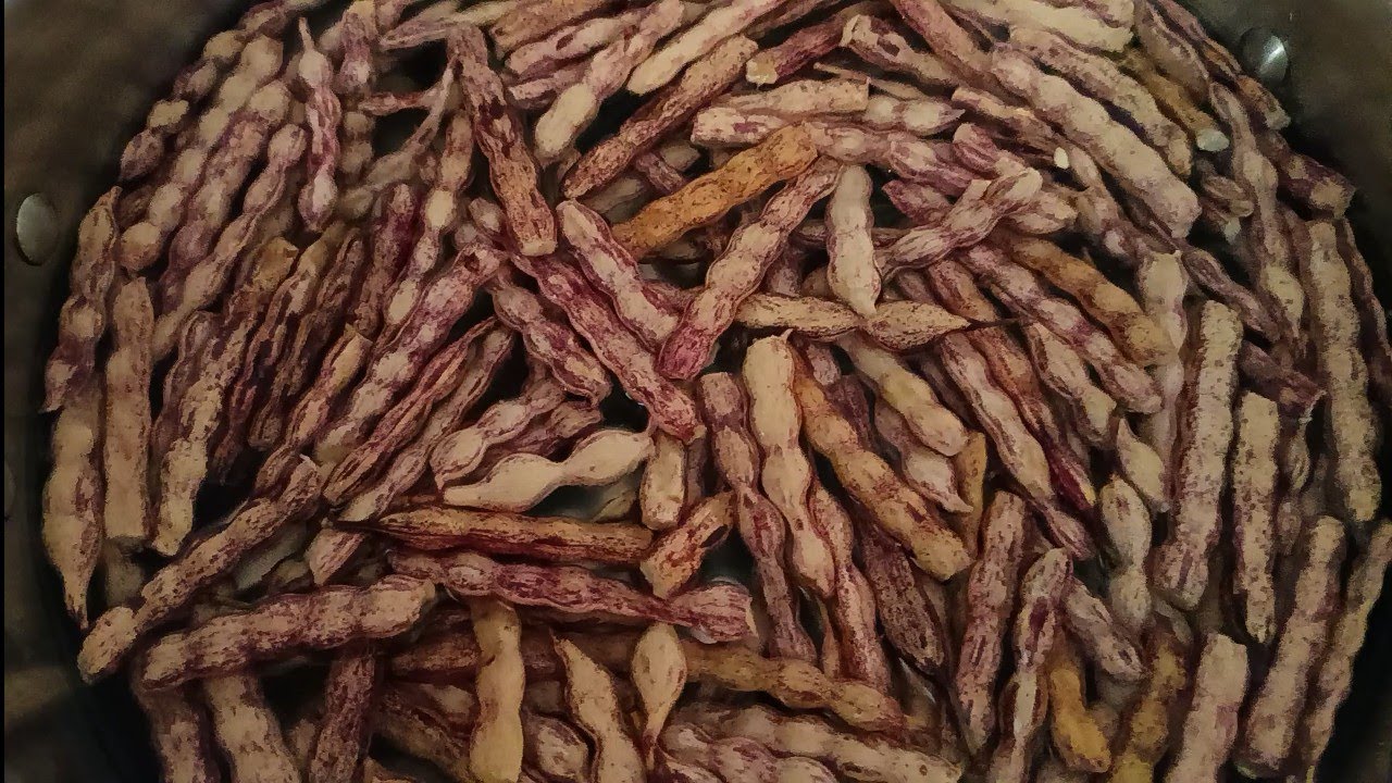 mesquitebeans How to make mesquite bean Jelly! YouTube