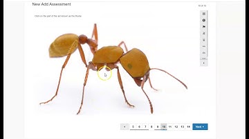 Schoology: Student directions for taking an assessment