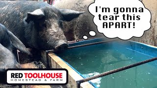 Building an INDESTRUCTIBLE (?) Pig watering trough