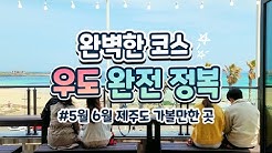 함께 가요 돌돌제주 - Youtube