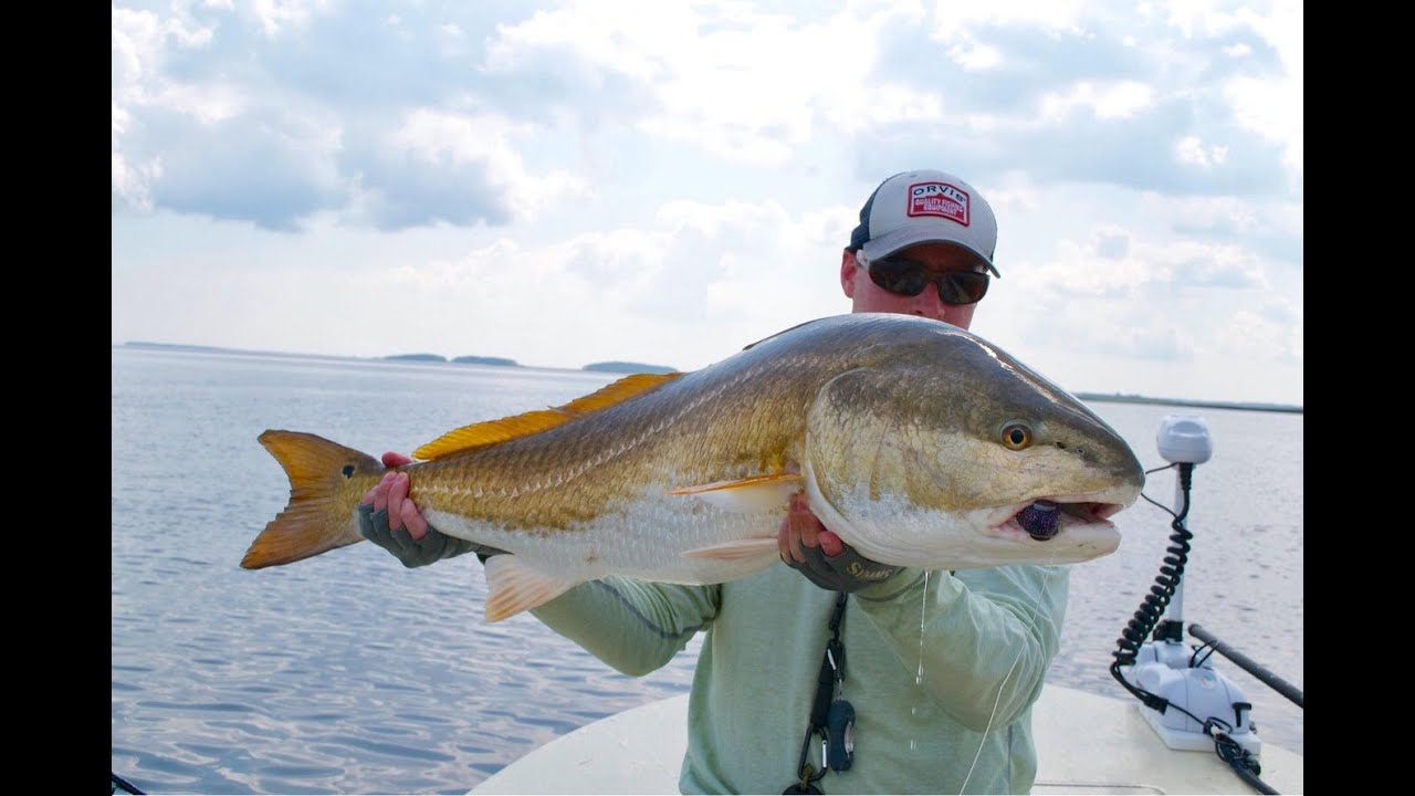 Pawleys Island Inshore Fishing Charters