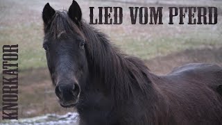Watch Knorkator Lied Vom Pferd video