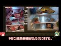 【ゆっくり解説】自主防災訓練に関する一考察(結果報告/総集編)