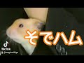 【実は】袖を使ってます【広がるメルヘンな妄想】