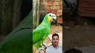 Mamá, Papá, Aguacate