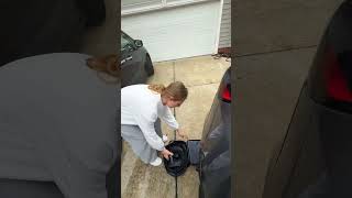 Tesla bug 🫣 #shortsvideo #tesla #automobile
