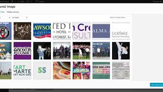 How to 'Add New Post' Video Tutorial with Voiceover | Wordpress Website