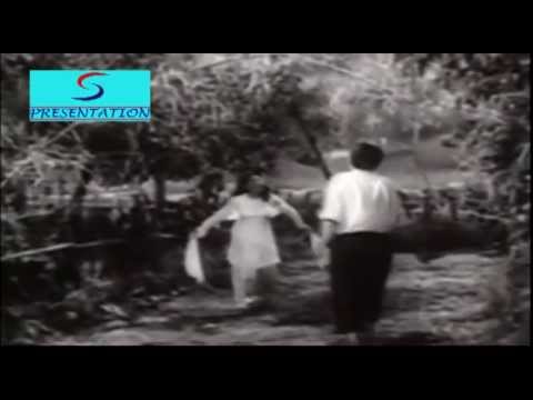 Tara Ri Yaara Ri - तारा री यारा री Music Video Thumbnail
