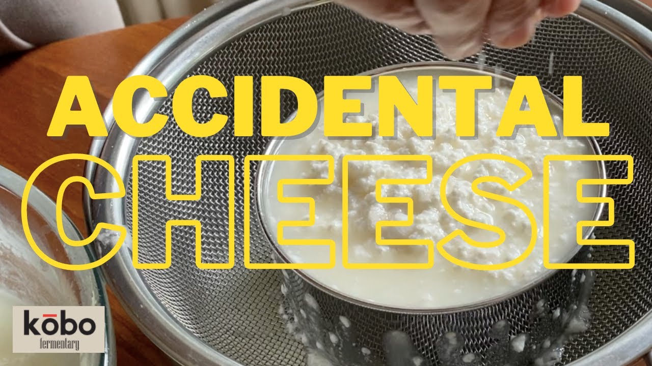 Zerowaste FERMENTATION | Accidental Cheese | Dairy