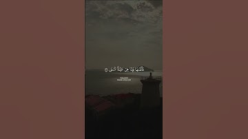 #قرآن كريم #اكسبلور#النظافه#الرحمن #راحة_نفسية#استخدموا الصوت سبحان الله وبحمده سبحان الله العظيم 10