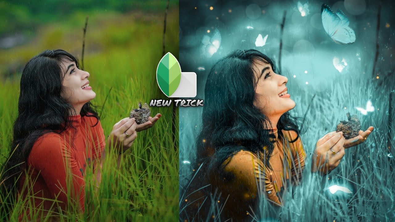 Snapseed New Realistic Colour Effect Photo Editing || Snapseed Amazing Background Color Change