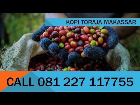 What Jual Kopi Toraja Asli