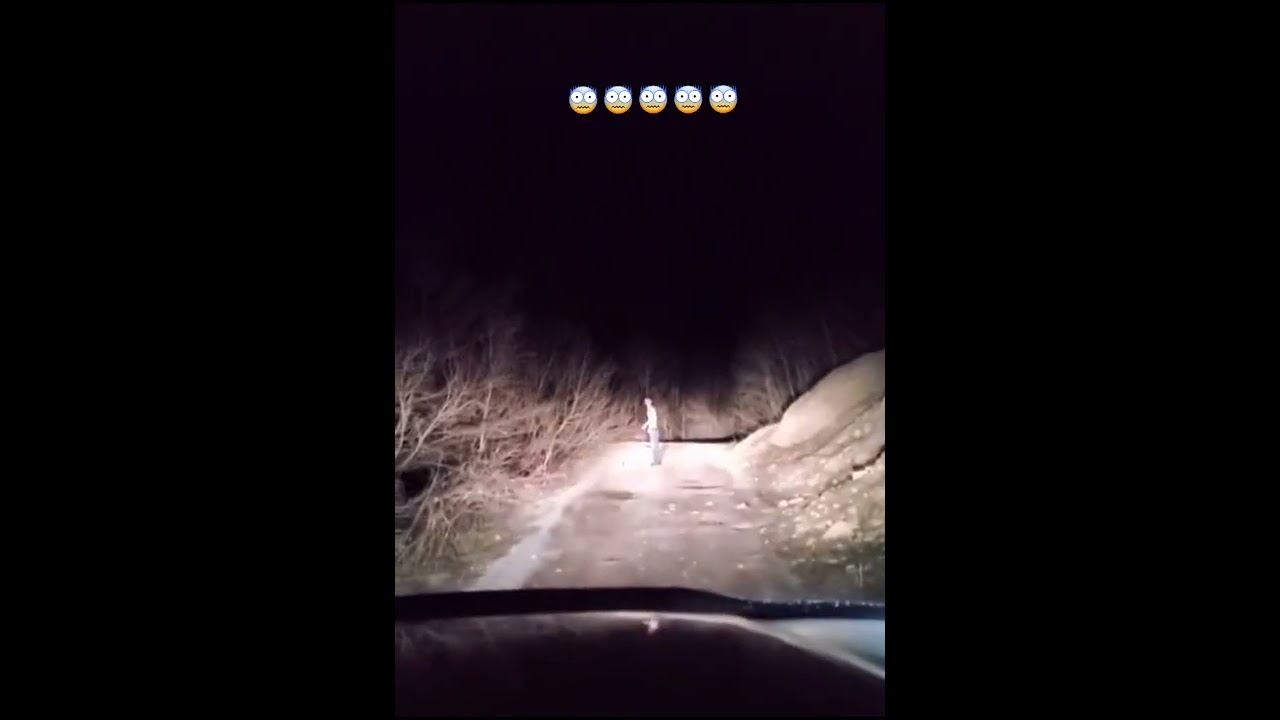 Ormandaki Yaratık 😱