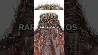 Jaw-Dropping Rare Photos You Need to See
