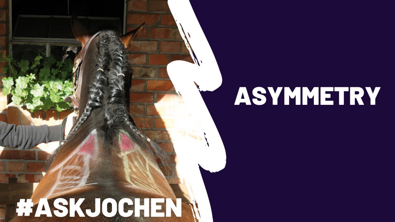 Aysmmetry | #ASKJochen | Livestream Q&A Excerpt - YouTube