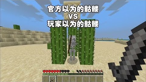 我的世界：官方以为的骷髅VS玩家以为的骷髅