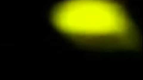 firefly flash pattern by male firefly to impress his partner