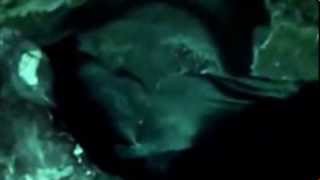 Video: inside the deadly jacob well in wimberley, texas | mail online
www.dailymail.co.uk/.../inside-deadly-jacob-well-wimberley-texas.ht...„
dead...