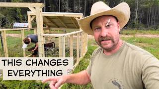 How We Keep Our Blind Calf Safe AND on Fresh Pasture