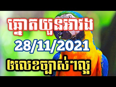 អាវងឆ្នោតចេញអី_តំរុយឆ្នោតយួនថ្ងៃទី 28/11/2021_Lucky today