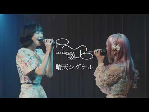 ponderosa may bloom - YouTube