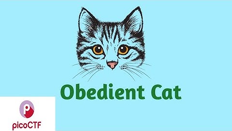 pico ctf (Obedient Cat) || TUTORIAL