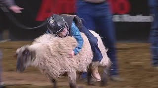 Mutton Bustin' at the San Antonio Rodeo