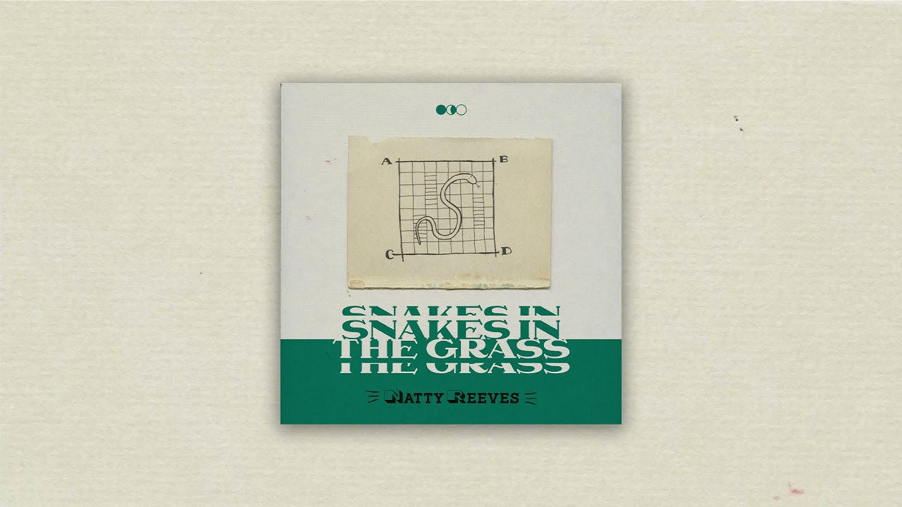 Natty Reeves - Snakes in the Grass (Feat. Poppy Daniels) (Official Audio)