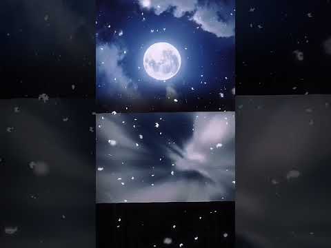 🕊 Tình Duyên