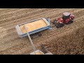 Corn harvest 2019 part 4
