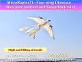 4枚の翼を持つ恐竜の羽ばたき機 MicroRaptor71--Four wing Dinosaur-: Flight and Gliding at Seaside