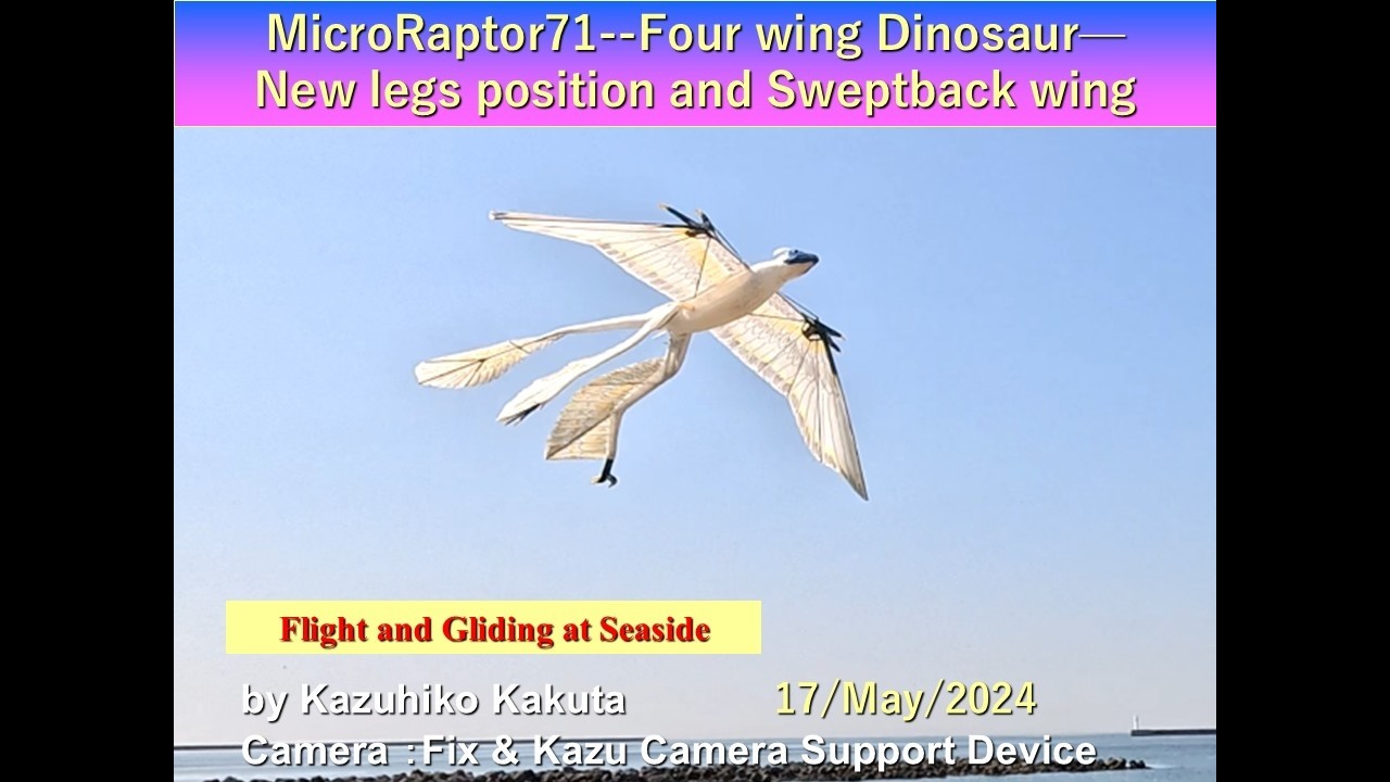 4枚の翼を持つ恐竜の羽ばたき機 MicroRaptor71--Four wing Dinosaur-: Flight and Gliding at Seaside