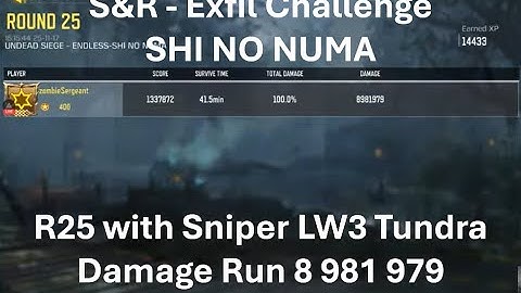 R25 with LW3 Tundra Damage Run 8 981 979 🤩Solo Damage Run S&R - Exfil in SHI NO NUMA🤩